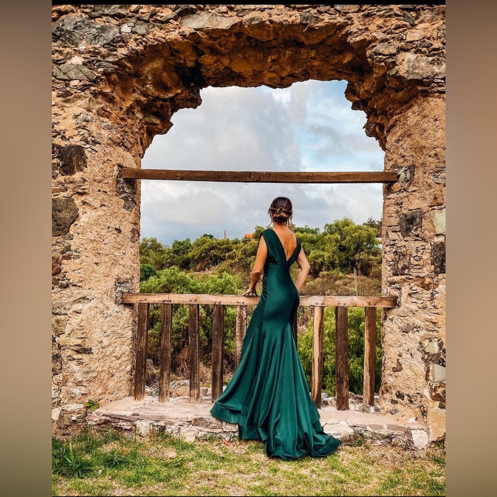 Gorgeous evening gown. Only worn once. Great condition.